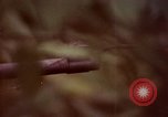 Image of UH-1 Iroquois helicopters United States USA, 1970, second 6 stock footage video 65675077316