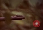 Image of UH-1 Iroquois helicopters United States USA, 1970, second 7 stock footage video 65675077316