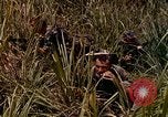 Image of UH-1 Iroquois helicopters United States USA, 1970, second 12 stock footage video 65675077316