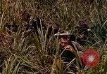 Image of UH-1 Iroquois helicopters United States USA, 1970, second 13 stock footage video 65675077316