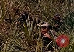 Image of UH-1 Iroquois helicopters United States USA, 1970, second 17 stock footage video 65675077316