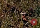 Image of UH-1 Iroquois helicopters United States USA, 1970, second 18 stock footage video 65675077316
