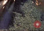 Image of UH-1 Iroquois helicopters United States USA, 1970, second 34 stock footage video 65675077316