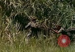 Image of UH-1 Iroquois helicopter extricate combat team United States USA, 1970, second 59 stock footage video 65675077321