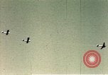 Image of United States bomber aircraft Germany, 1945, second 13 stock footage video 65675077323