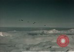 Image of American bomber aircraft Germany, 1945, second 27 stock footage video 65675077331