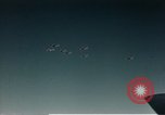 Image of American bomber aircraft Germany, 1945, second 24 stock footage video 65675077333