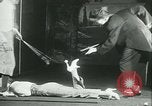 Image of Joseph Henry Kirkwood golf stunt New York United States USA, 1930, second 27 stock footage video 65675077337
