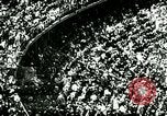 Image of Jesse Owens wins the 100 meter dash Berlin Germany, 1936, second 10 stock footage video 65675077353