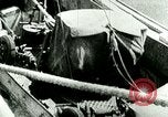 Image of African American servicemen in combat on all fronts during World War 2 European Theater, 1944, second 46 stock footage video 65675077359