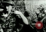Image of African American servicemen in combat on all fronts during World War 2 European Theater, 1944, second 59 stock footage video 65675077359
