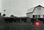 Image of cowboys with cattle herd  United States USA, 1921, second 3 stock footage video 65675077361