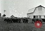Image of cowboys with cattle herd  United States USA, 1921, second 4 stock footage video 65675077361