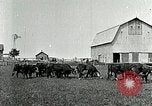 Image of cowboys with cattle herd  United States USA, 1921, second 5 stock footage video 65675077361