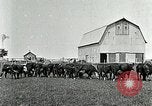 Image of cowboys with cattle herd  United States USA, 1921, second 7 stock footage video 65675077361