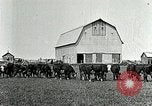Image of cowboys with cattle herd  United States USA, 1921, second 9 stock footage video 65675077361