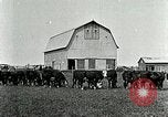 Image of cowboys with cattle herd  United States USA, 1921, second 10 stock footage video 65675077361