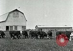 Image of cowboys with cattle herd  United States USA, 1921, second 13 stock footage video 65675077361
