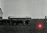 Image of cowboys with cattle herd  United States USA, 1921, second 19 stock footage video 65675077361