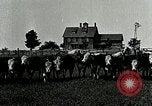Image of cowboys with cattle herd  United States USA, 1921, second 24 stock footage video 65675077361