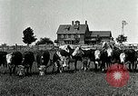 Image of cowboys with cattle herd  United States USA, 1921, second 25 stock footage video 65675077361