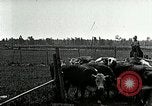 Image of cowboys with cattle herd  United States USA, 1921, second 44 stock footage video 65675077361
