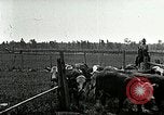 Image of cowboys with cattle herd  United States USA, 1921, second 45 stock footage video 65675077361