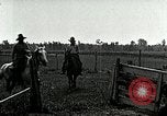 Image of cowboys with cattle herd  United States USA, 1921, second 51 stock footage video 65675077361