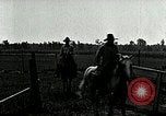 Image of cowboys with cattle herd  United States USA, 1921, second 52 stock footage video 65675077361