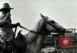 Image of cowboys with cattle herd  United States USA, 1921, second 59 stock footage video 65675077361
