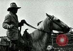 Image of cowboys with cattle herd  United States USA, 1921, second 60 stock footage video 65675077361