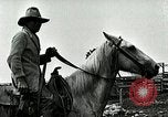 Image of cowboys with cattle herd  United States USA, 1921, second 61 stock footage video 65675077361