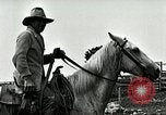 Image of cowboys with cattle herd  United States USA, 1921, second 62 stock footage video 65675077361