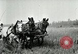 Image of American farmers United States USA, 1921, second 17 stock footage video 65675077362
