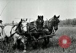 Image of American farmers United States USA, 1921, second 18 stock footage video 65675077362