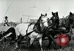 Image of American farmers United States USA, 1921, second 19 stock footage video 65675077362