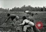 Image of American farmers United States USA, 1921, second 42 stock footage video 65675077362