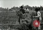 Image of American farmers United States USA, 1921, second 44 stock footage video 65675077362
