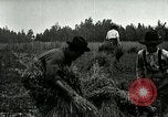 Image of American farmers United States USA, 1921, second 48 stock footage video 65675077362