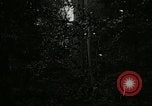 Image of Lumber operations and Johannesburg Manufacturing Company Store Michigan United States USA, 1921, second 4 stock footage video 65675077363
