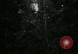 Image of Lumber operations and Johannesburg Manufacturing Company Store Michigan United States USA, 1921, second 5 stock footage video 65675077363