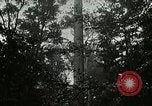 Image of Lumber operations and Johannesburg Manufacturing Company Store Michigan United States USA, 1921, second 11 stock footage video 65675077363