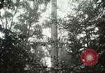 Image of Lumber operations and Johannesburg Manufacturing Company Store Michigan United States USA, 1921, second 12 stock footage video 65675077363