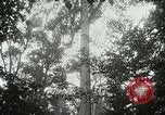 Image of Lumber operations and Johannesburg Manufacturing Company Store Michigan United States USA, 1921, second 14 stock footage video 65675077363