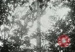 Image of Lumber operations and Johannesburg Manufacturing Company Store Michigan United States USA, 1921, second 15 stock footage video 65675077363