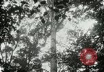 Image of Lumber operations and Johannesburg Manufacturing Company Store Michigan United States USA, 1921, second 16 stock footage video 65675077363