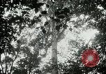 Image of Lumber operations and Johannesburg Manufacturing Company Store Michigan United States USA, 1921, second 17 stock footage video 65675077363