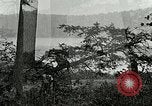 Image of Lumber operations and Johannesburg Manufacturing Company Store Michigan United States USA, 1921, second 35 stock footage video 65675077363