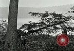 Image of Lumber operations and Johannesburg Manufacturing Company Store Michigan United States USA, 1921, second 36 stock footage video 65675077363