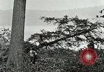 Image of Lumber operations and Johannesburg Manufacturing Company Store Michigan United States USA, 1921, second 40 stock footage video 65675077363